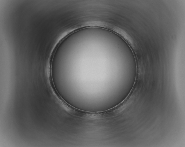 X0000110861040200906251204