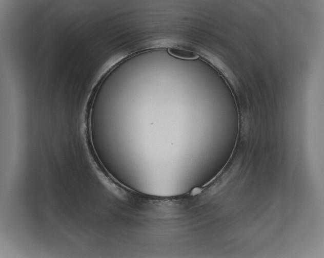 X0000110861042200906251204