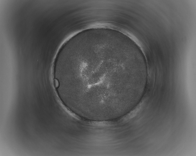 X0000110861045200906251204