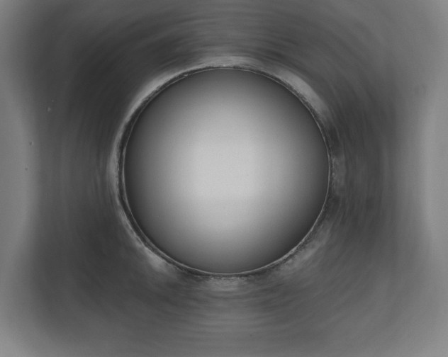 X0000110861046200906251204