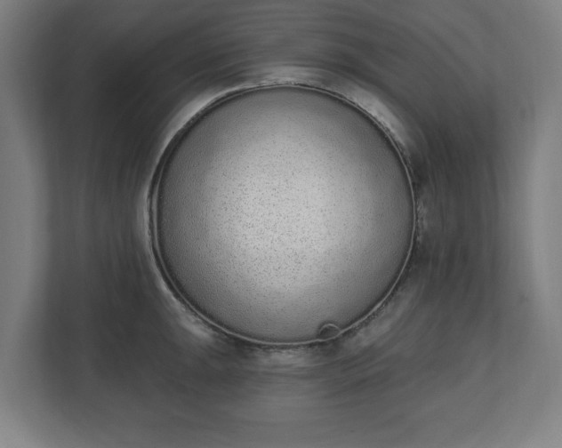 X0000110861047200906251204