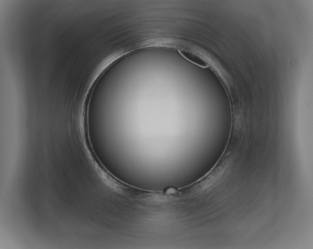 X0000110861050200906251204