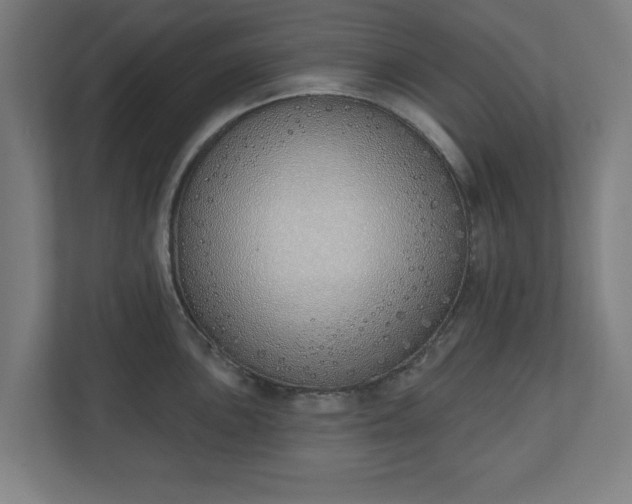 X0000110861051200906251204