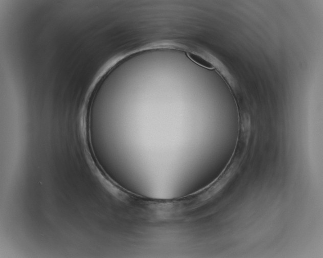 X0000110861054200906251204