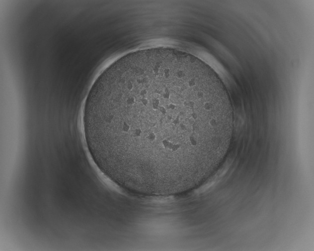 X0000110861055200906251204