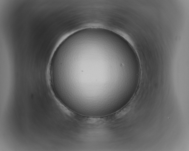 X0000110861056200906251204