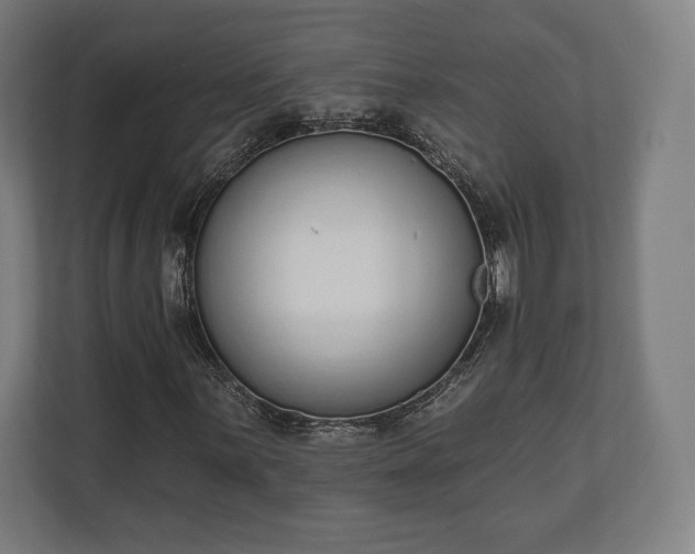 X0000110861059200906251204