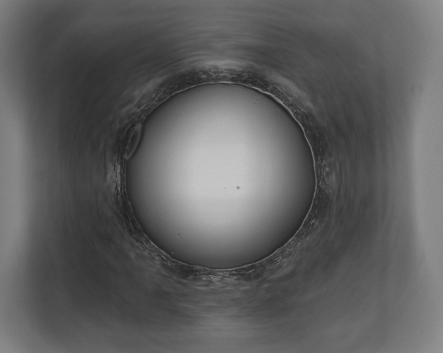 X0000110861061200906251204