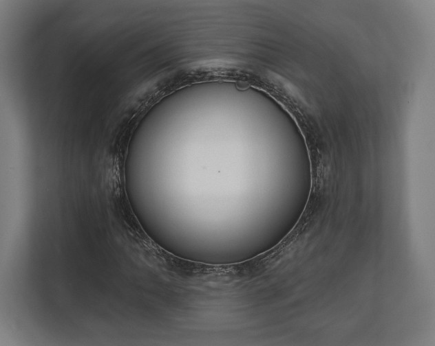 X0000110861062200906251204