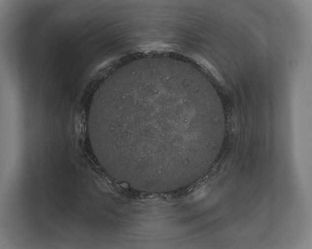 X0000110861063200906251204