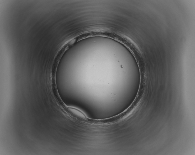 X0000110861065200906251204