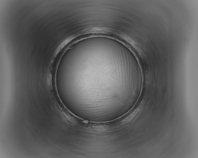 X0000110861066200906251204