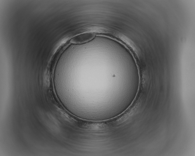 X0000110861067200906251204