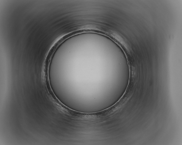 X0000110861068200906251204