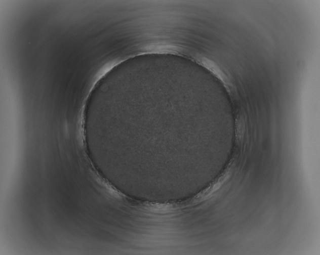 X0000110861071200906251204