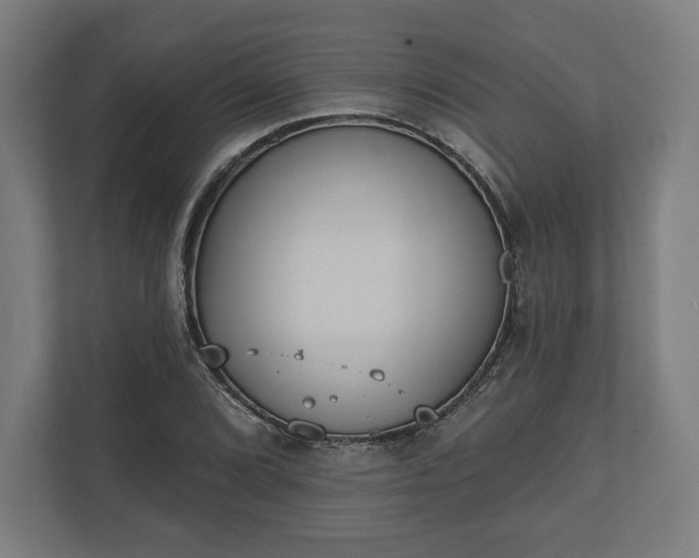 X0000110861072200906251204