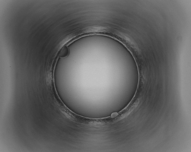 X0000110861073200906251204