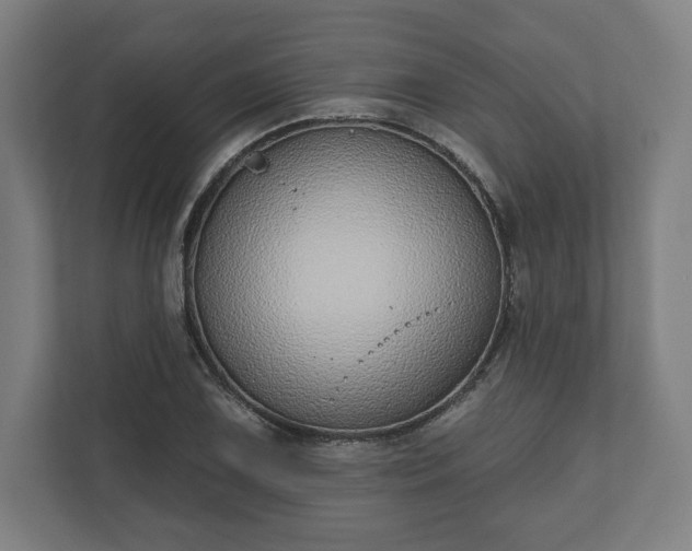 X0000110861075200906251204