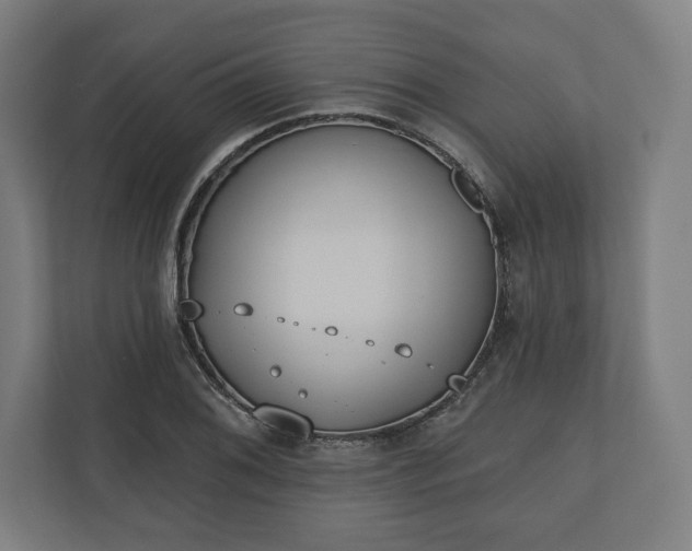 X0000110861076200906251204