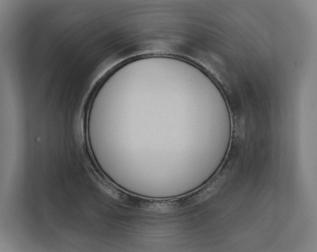 X0000110861078200906251204