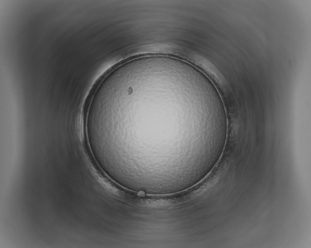 X0000110861079200906251204