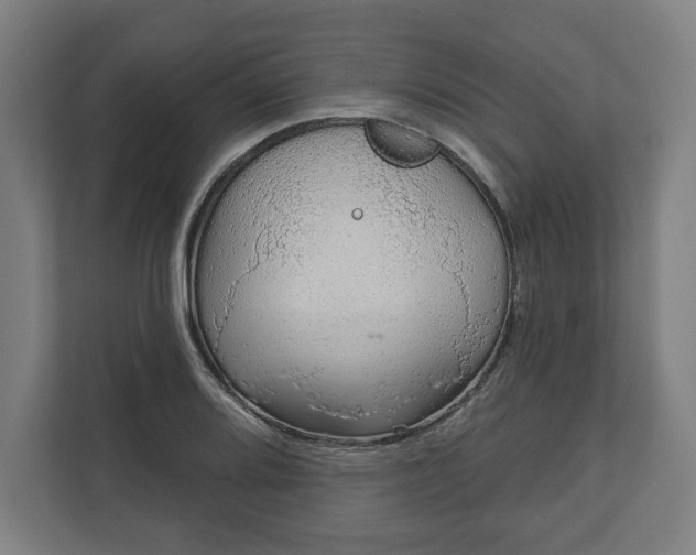 X0000110861080200906251203