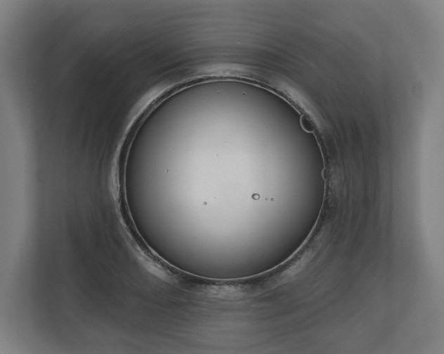 X0000110861082200906251203