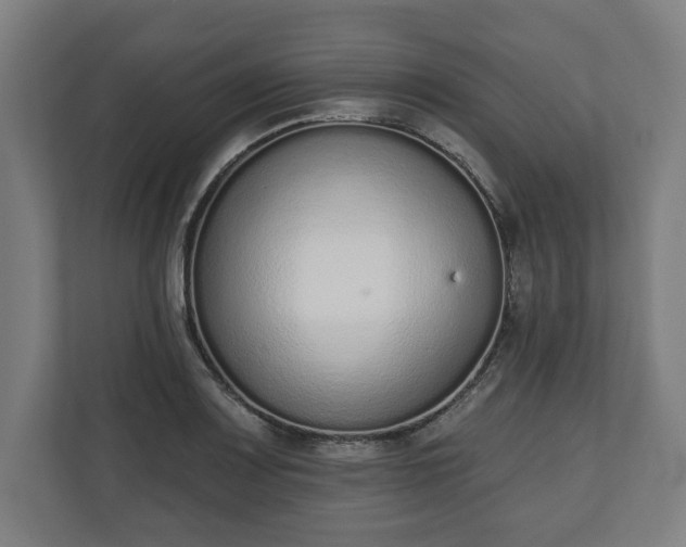 X0000110861083200906251203