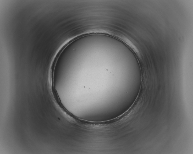 X0000110861084200906251203