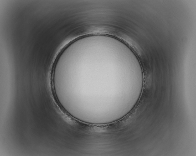 X0000110861086200906251203