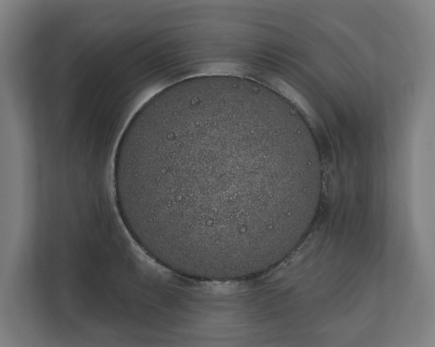 X0000110861087200906251203