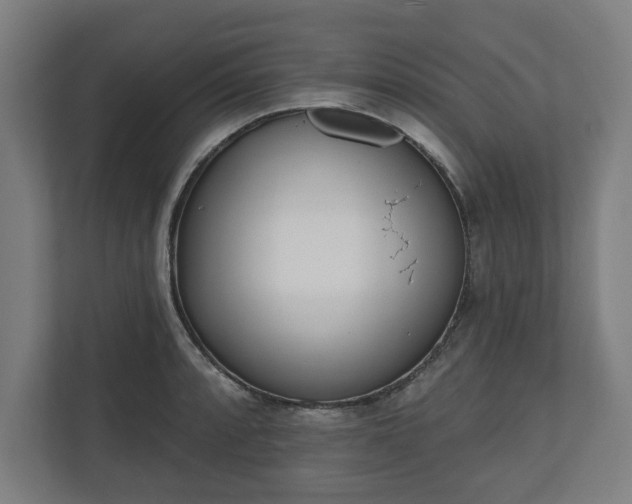 X0000110861088200906251203