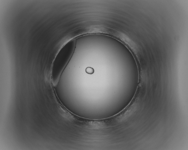 X0000110861089200906251203