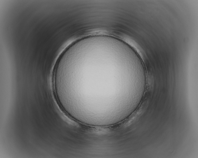 X0000110861090200906251203