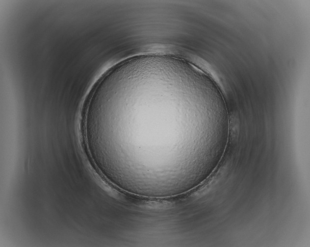 X0000110861091200906251203