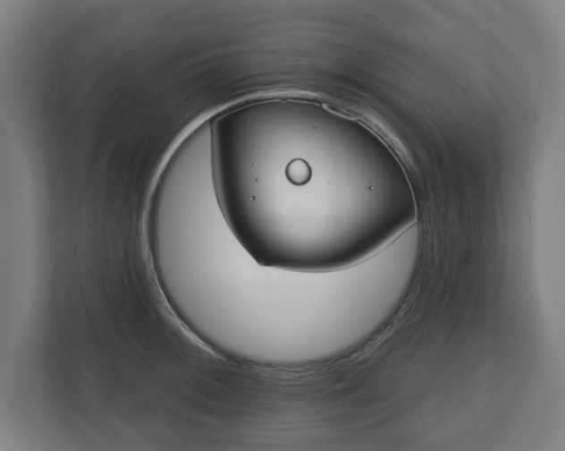 X0000110861092200906251203