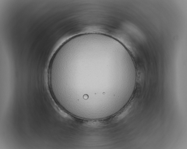 X0000110861094200906251203