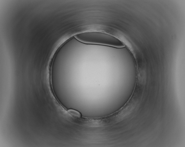 X0000110861096200906251203