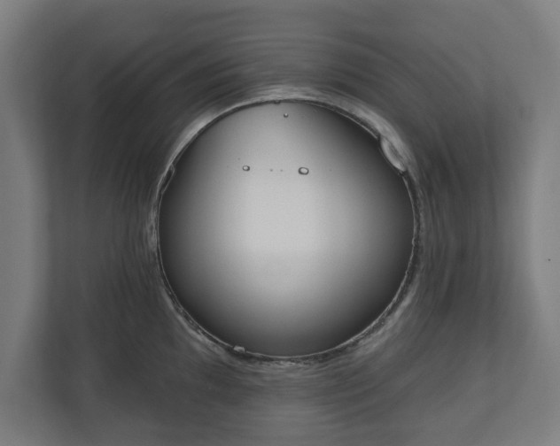 X0000110861097200906251203