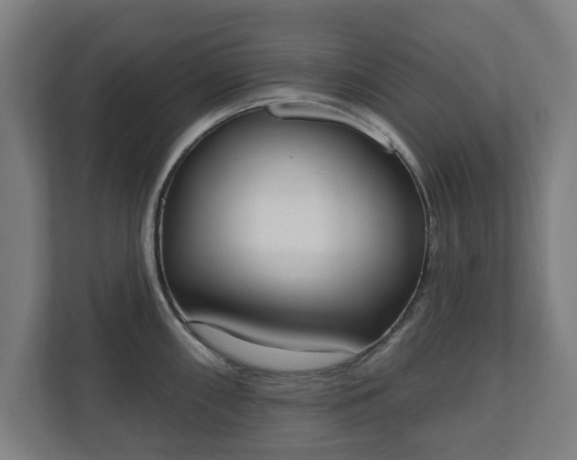 X0000110861098200906251203