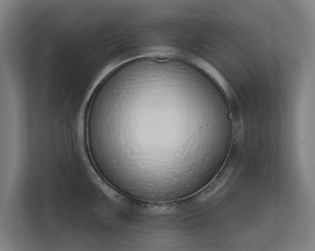 X0000110861099200906251203