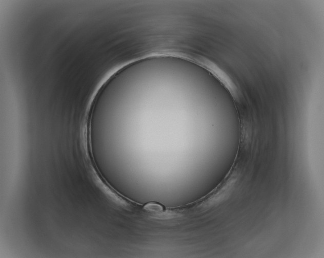 X0000110861100200906251203