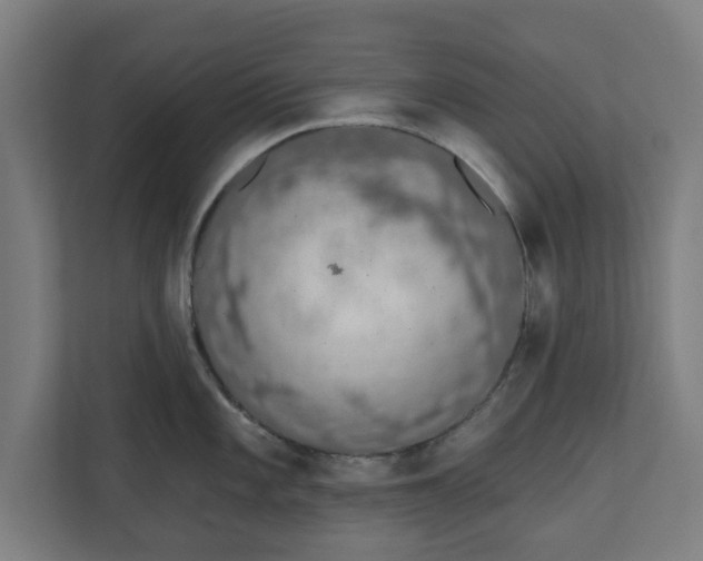 X0000110861101200906251203