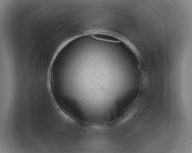 X0000110861102200906251203