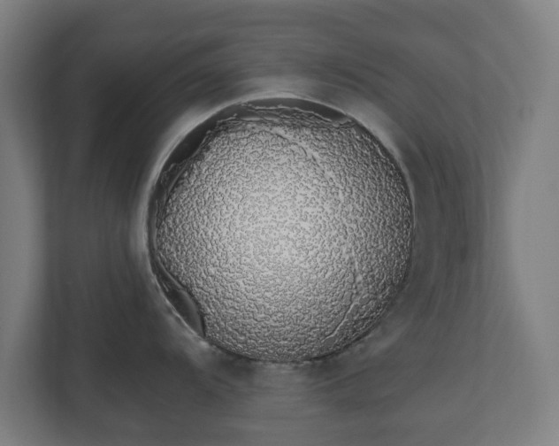 X0000110861104200906251203