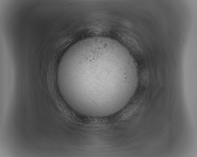 X0000110861105200906251203