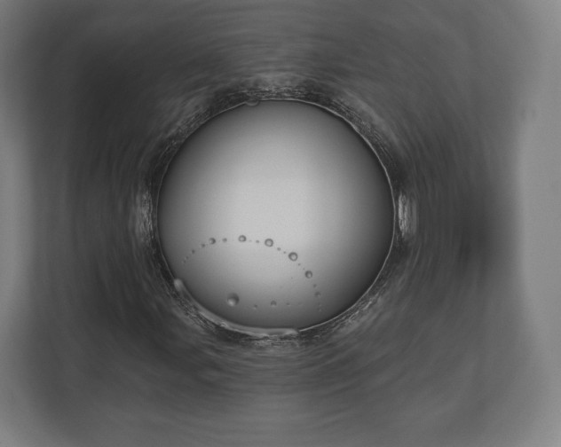 X0000110861107200906251203