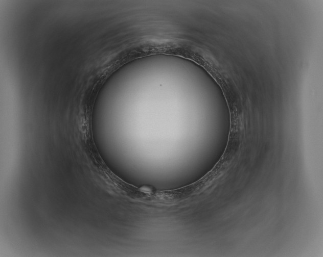 X0000110861109200906251203