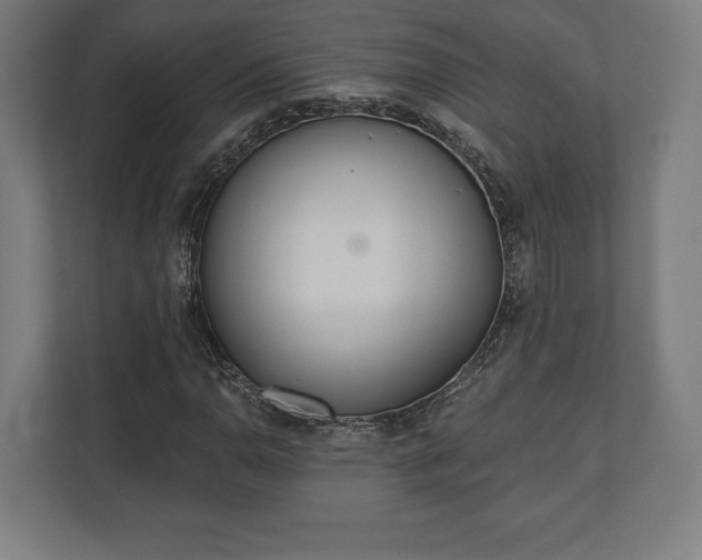 X0000110861110200906251203