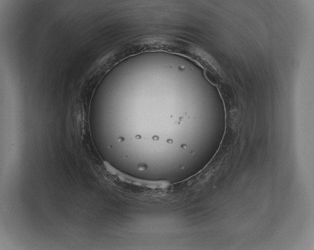 X0000110861111200906251203